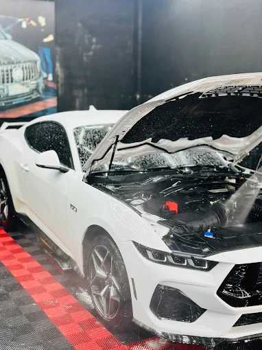 Lavagem detalhada de motor automotivo